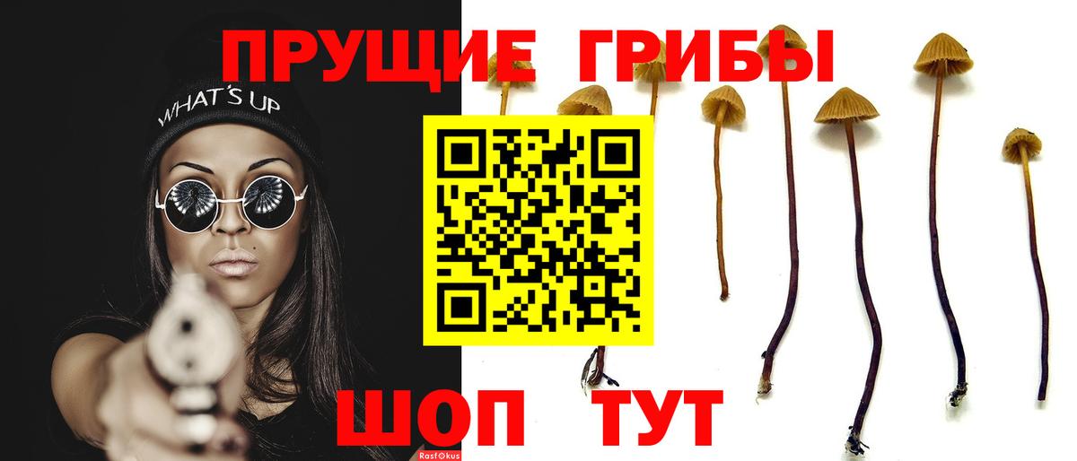 Воскресенск  дарнет шоп  Вход с VPN  Галлюциногенные грибы Magic Shrooms  Псилоцибиновые грибы Psilocybine cubensis 